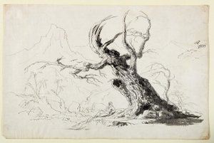 Gran Árbol Nudoso con Hombre Barbudo Sentado Abajo de Thomas Cole